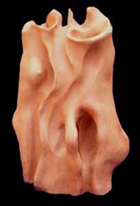 arabesques1