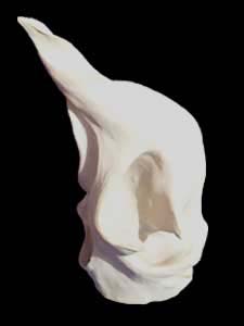 fluide2