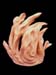 arabesques10