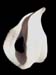 fluide1