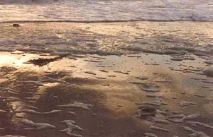 plage_cuivree