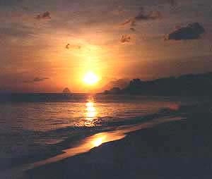 soleil_diamant_carre