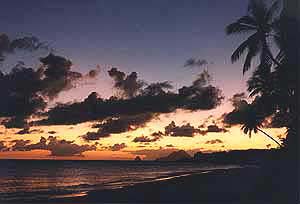soleil_diamant_or