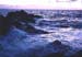 mer_mauve