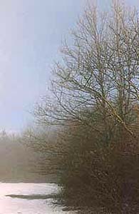 mont3