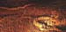 grotte4